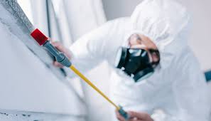 Best Real Estate Pest Inspections  in Nashotah, WI